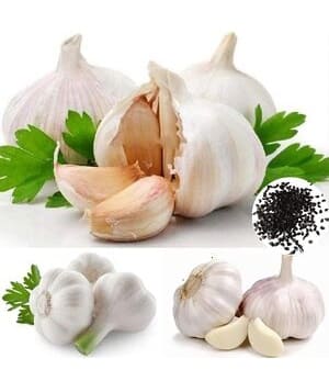 Semillas de ajo