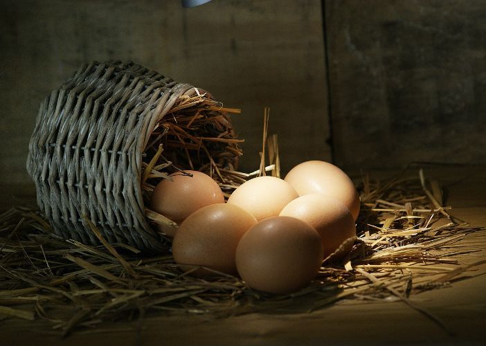 Los beneficios de comer huevos Los beneficios de comer huevos