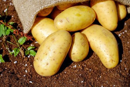 Patatas deliciosos y nutritivos tubérculos - Descubre sus Beneficios en la web Aurora Cocina. Patatas deliciosos y nutritivos tubérculos - Descubre sus Beneficios en la web Aurora Cocina.
