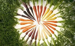 Zanahorias de colores - Aurora Cocina Zanahorias de colores - Aurora Cocina