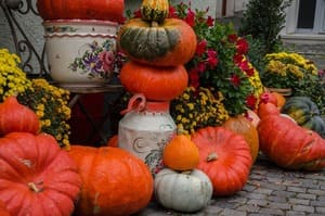 Calabazas de Halloween - Aurora Cocina Calabazas de Halloween - Aurora Cocina