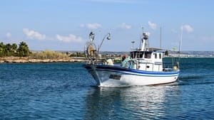 Pesca del calamar Pesca del calamar