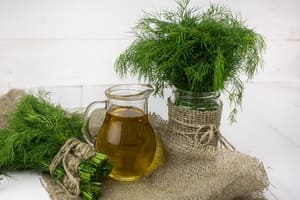 Descubre los Secretos del Eneldo en la Cocina y la Salud