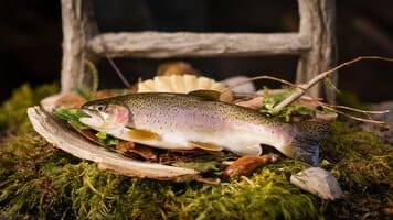 Conoce la Deliciosa Trucha Asalmonada: Un Tesoro Culinario